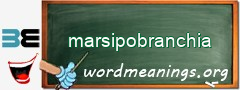 WordMeaning blackboard for marsipobranchia